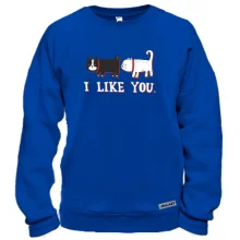 Свитшот с котами и надписью "i like you"