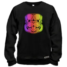 Свитшот Rainbow Dog