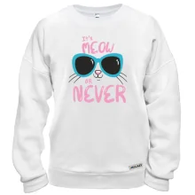 Свитшот It's Meow or Never