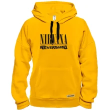 Толстовка Nirvana Nevermind