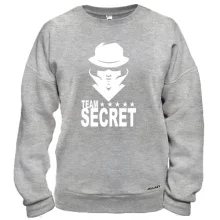 Свитшот Team Secret