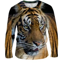 Чоловічий 3D лонгслів Big Tiger