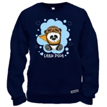 Свитшот Юный пилот