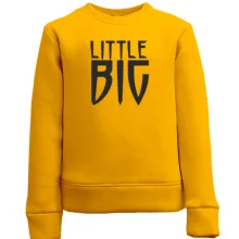 Детский свитшот Little Big logo