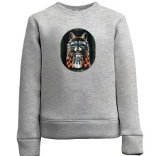 Детский свитшот Енот blue ribbon
