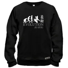 Свитшот Jiu-Jitsu Evolution