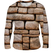 Чоловічий 3D лонгслів Stone wall