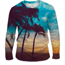 Чоловічий 3D лонгслів Palm trees and sunset