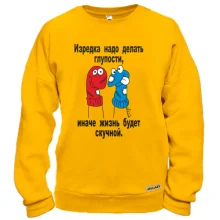 Свитшот Иногда нужно делать глупости