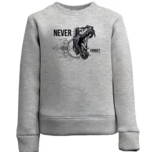 Детский свитшот Never forget Dinosaur