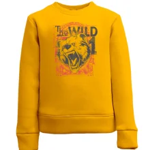 Детский свитшот the wild