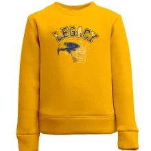 Дитячий світшот legacy eagle