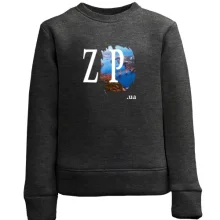 Детский свитшот zp.ua (Запорожье)
