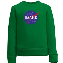 Дитячий світшот Валик (NASA Style)