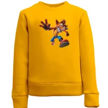 Детский свитшот с Crash Bandicoot 2