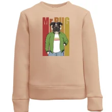 Детский свитшот Mr Pug