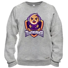 Свитшот Teddygamer