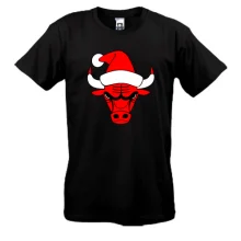 Футболка Chicago Bulls New Year JUDO Volleyball player
