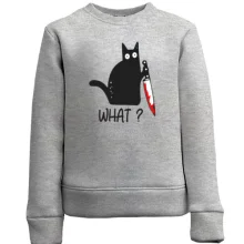 Дитячий світшот What cat