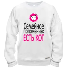 Свитшот Семейное положение - есть кот
