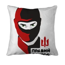 3D подушка Правий сектор арт