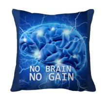 3D подушка с надписью "No brain No gain"
