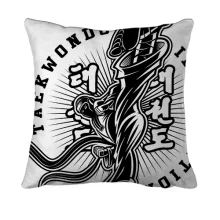 3D подушка Taekwondo illustration