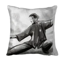 3D подушка Kung Fu Illustration