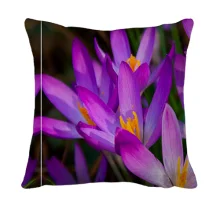 3D подушка Feolite flowers