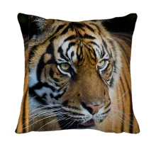 3D подушка Big Tiger