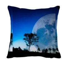 3D подушка Great moon