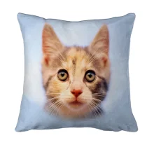 3D подушка с котенком на фоне неба