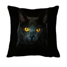 3D подушка з чорним котом