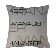 3D подушка для менеджера "manager"