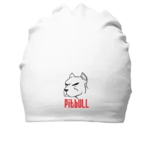 Хлопковая шапка Pitbull