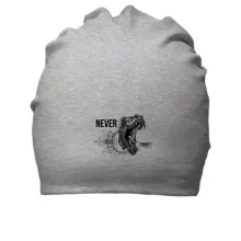 Хлопковая шапка Never forget Dinosaur