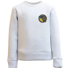 Детский свитшот Glory to Ukraine (mini)