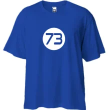 Футболка Oversize Шелдона 73