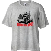Футболка Oversize Повелитель доріг