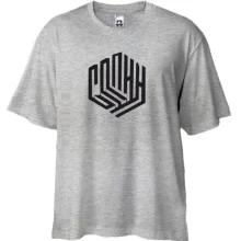 Футболка Oversize Сплин (3д)