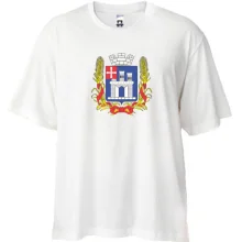 Футболка Oversize Старий герб Житомира