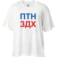 Футболка Oversize Путин вмер