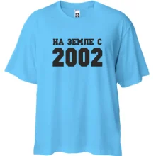 Футболка Oversize На земле с 2002