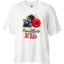 Футболка Oversize з ягодами (одного поля ягоди)