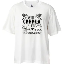 Футболка Oversize Лучше синица в небе чем утка под кроватью