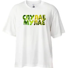 Футболка Oversize с надписью 