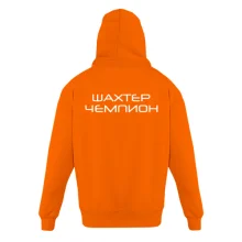Детская толстовка Шахтёр-Чемпион