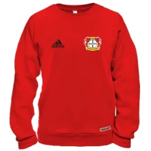 Свитшот Байер 04 (Bayer 04 Leverkusen) mini