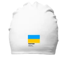 Хлопковая шапка PANTONE Freedom blue, energizing yellow
