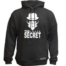Худи без начеса Team Secret